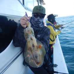 きずなまりん 釣果