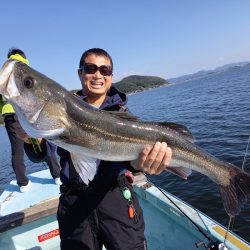 アマテラス 釣果