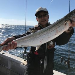 ランスルー 釣果