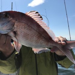 ランスルー 釣果
