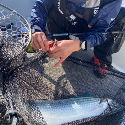 「LaGooN」蒼陽丸 日和号 釣果