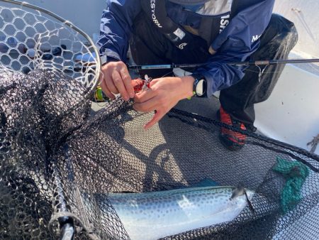 「LaGooN」蒼陽丸 日和号 釣果