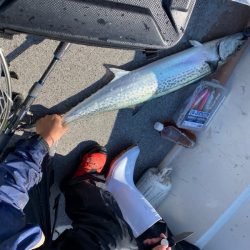 「LaGooN」蒼陽丸 日和号 釣果