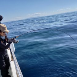 アマテラス 釣果