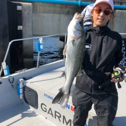 Chase(チェイス) 釣果