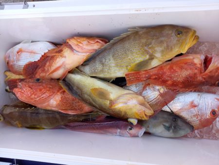 第二龍勢丸 釣果