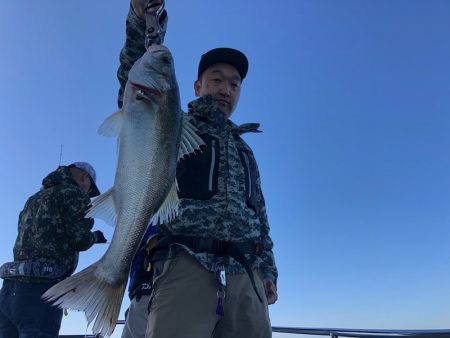 Chase（チェイス） 釣果