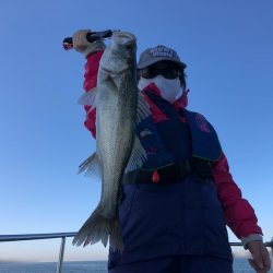 Chase（チェイス） 釣果