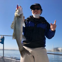 Chase（チェイス） 釣果