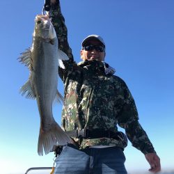 Chase（チェイス） 釣果