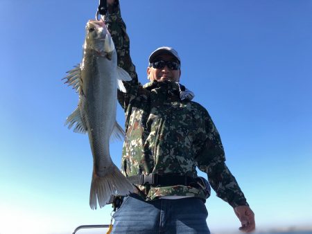 Chase（チェイス） 釣果