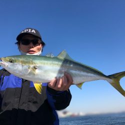 Chase（チェイス） 釣果