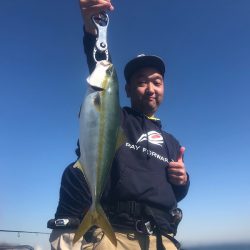 Chase（チェイス） 釣果