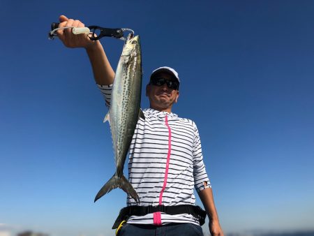 Chase（チェイス） 釣果