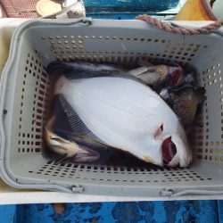 さち丸 釣果