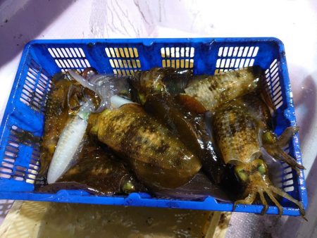 海龍丸（石川） 釣果