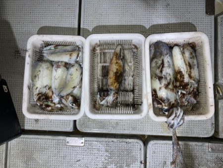 遊漁船高橋 釣果