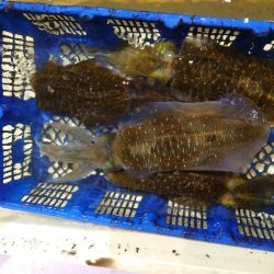 海龍丸（石川） 釣果