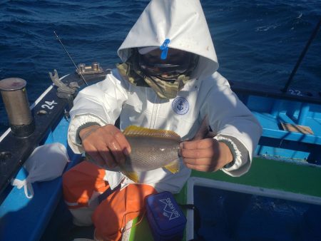 丸万釣船 釣果