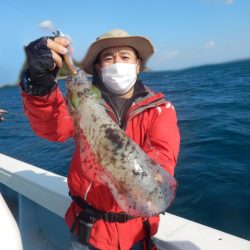 きずなまりん 釣果