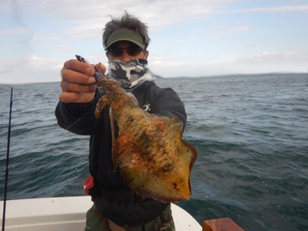 きずなまりん 釣果