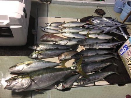 エムズジャーク(M’s JERK) 釣果