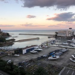 エムズジャーク(M’s JERK) 釣果