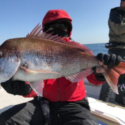 ランスルー 釣果