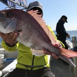 ランスルー 釣果