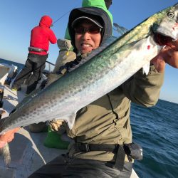 ランスルー 釣果