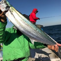 ランスルー 釣果