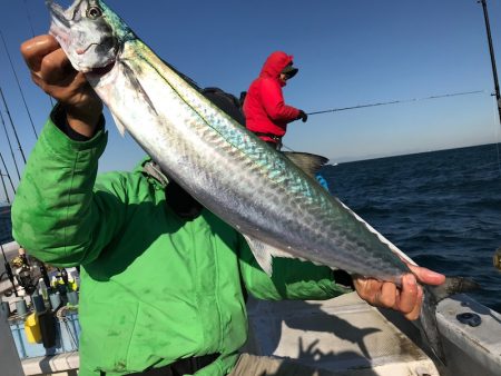 ランスルー 釣果