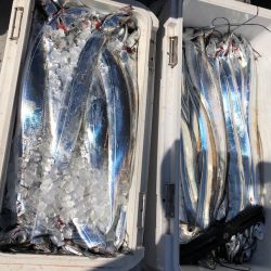 フィッシング　キッタカ 釣果