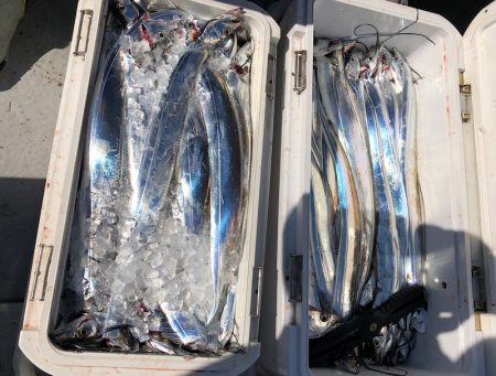 フィッシング　キッタカ 釣果