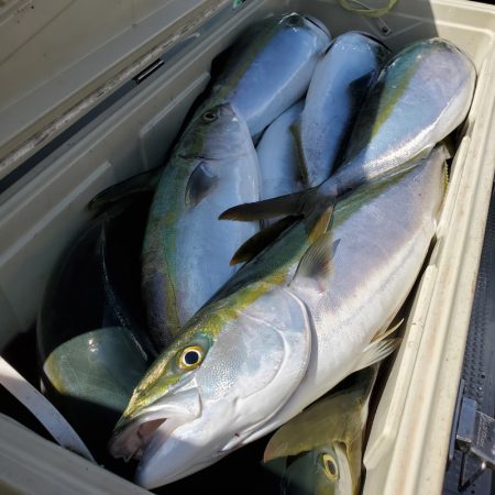 サンマリン 釣果