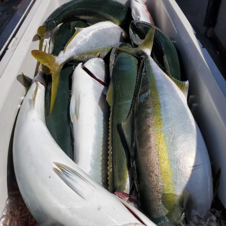 サンマリン 釣果