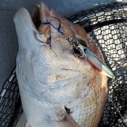 サンマリン 釣果