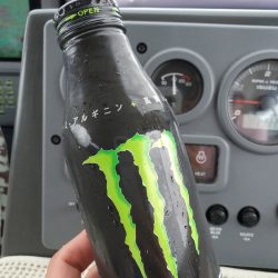 サンマリン 釣果