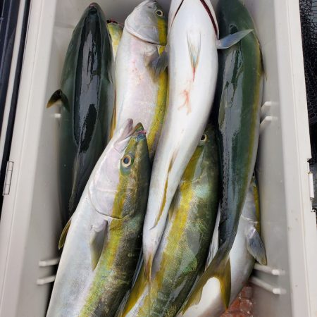 サンマリン 釣果