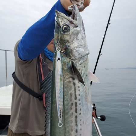 サンマリン 釣果