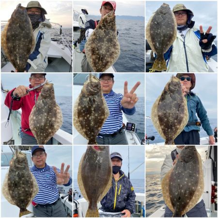 シーライオン 釣果