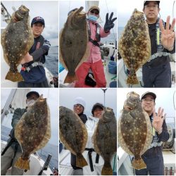 シーライオン 釣果