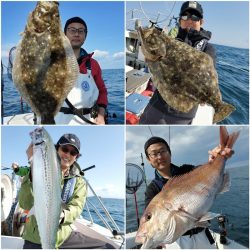 シーライオン 釣果