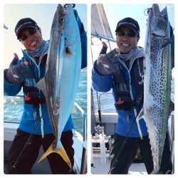 ビッグファイター 釣果