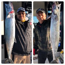 ビッグファイター 釣果