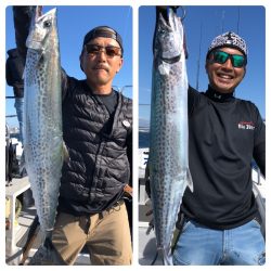 ビッグファイター 釣果