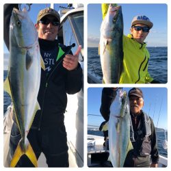 ビッグファイター 釣果