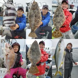 シーライオン 釣果