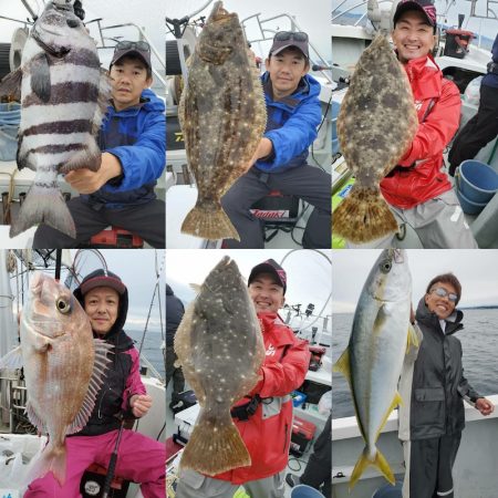 シーライオン 釣果