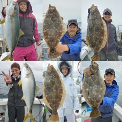 シーライオン 釣果